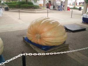 Do You Have What It Takes to Grow the Largest Pumpkin? 