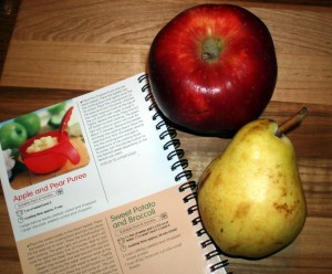 Freshfoods Cook-n-Blend Baby Food Maker Recipe Book with Apple and Pear