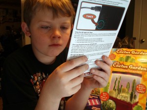 Reading instructions of DuneCraft Super LED Cactus Garden