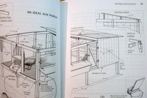 Storey's Guide to Raising Turkeys