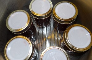 Strawberry Jam with Tattler Reusable Canning Lids