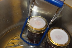 Making Strawberry Jam with Fagor Duo Pressure Canning Set