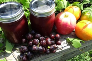 Red Sangria Mocktail Jelly - No Alcohol, Low Sugar Canning #Recipe