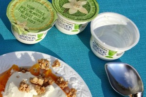 Healthy Choice Frozen Vanilla Bean Greek Yogurt