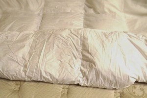 DownLinens Luxury Feather Bed Topper