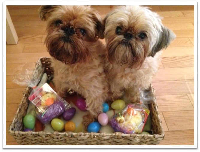 dogs Easter basket