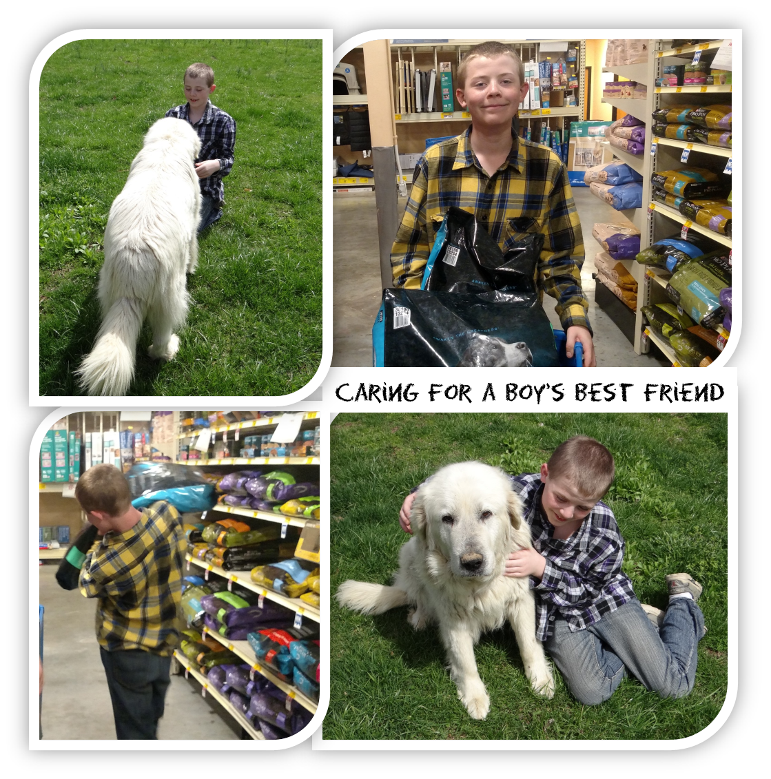 How to Involve your Child in Daily Dog Care #ProPlanPet #Ad #cbias