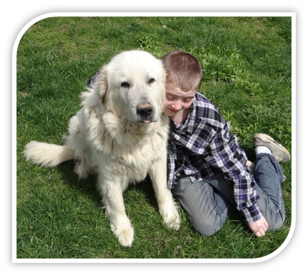 How to Involve your Child in Daily Dog Care #ProPlanPet #Ad #cbias