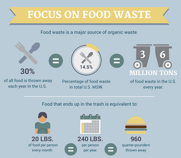 How to Immediately Minimize Food Waste