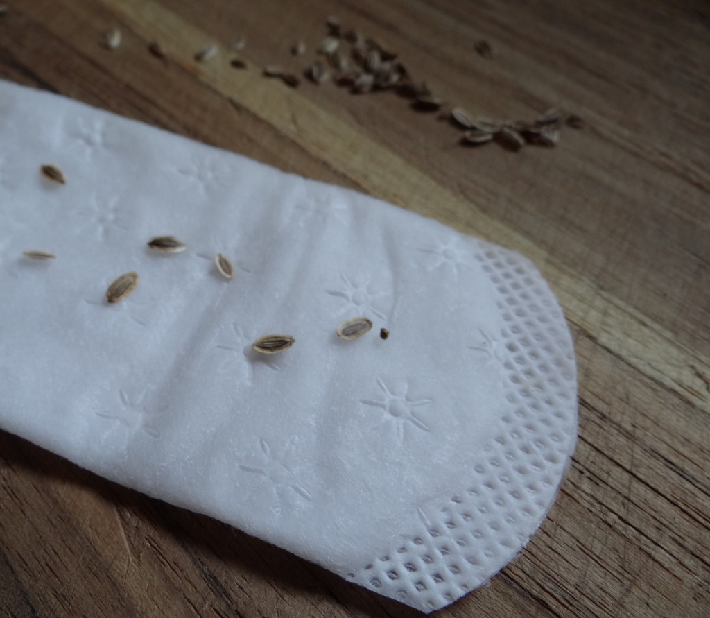 How to Test Old Seeds for Viability #RecycleYourPeriodPad #sponsored