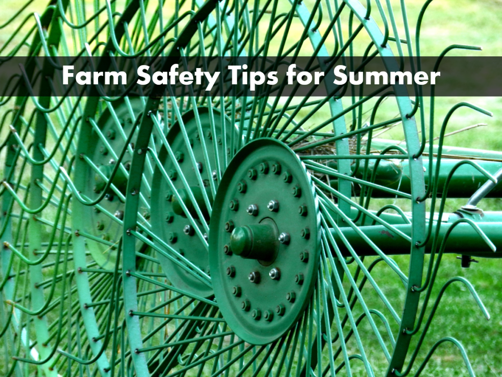 5 Simple Steps To Farm Safety This Summer
