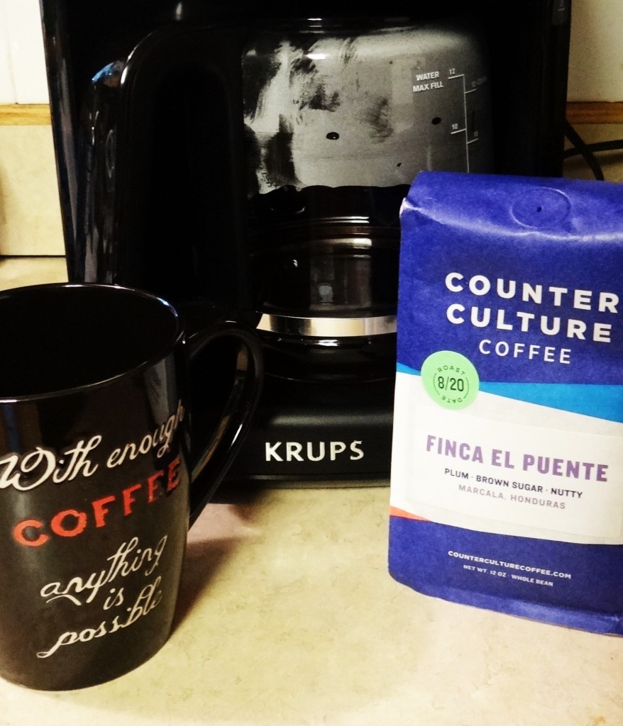 How do you enjoy a true coffee-lover's brew? | KRUPS SAVOY EC314 Review