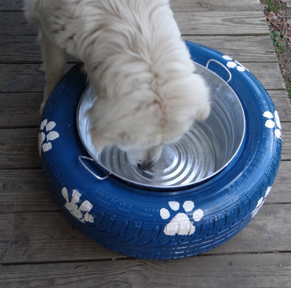 Tip proof hot sale water bowl