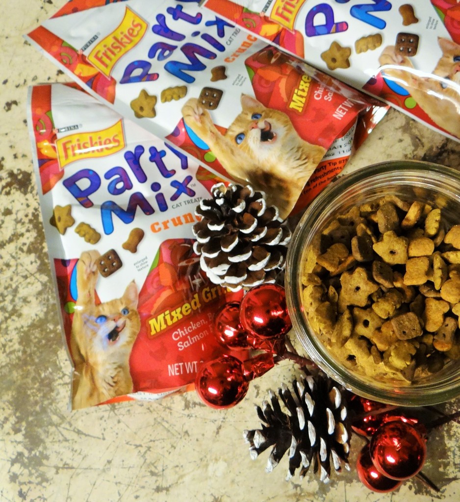 Quick and Easy DIY Gifts for Pets! #SeasonsTreatings