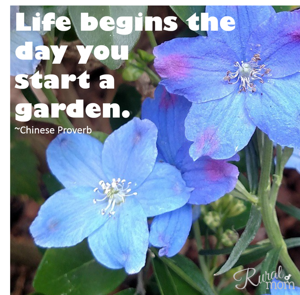 Gardening Quotes Life Begins Garden