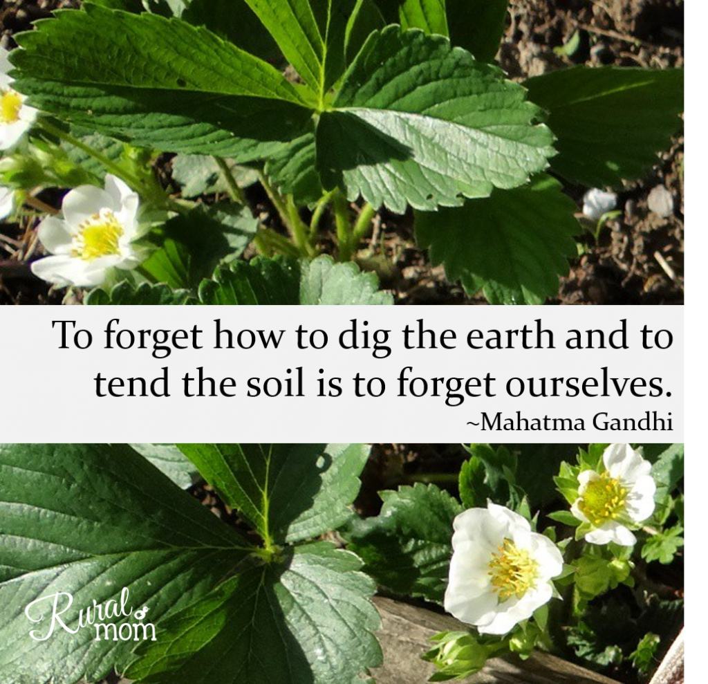 Gardening Quotes garden earth