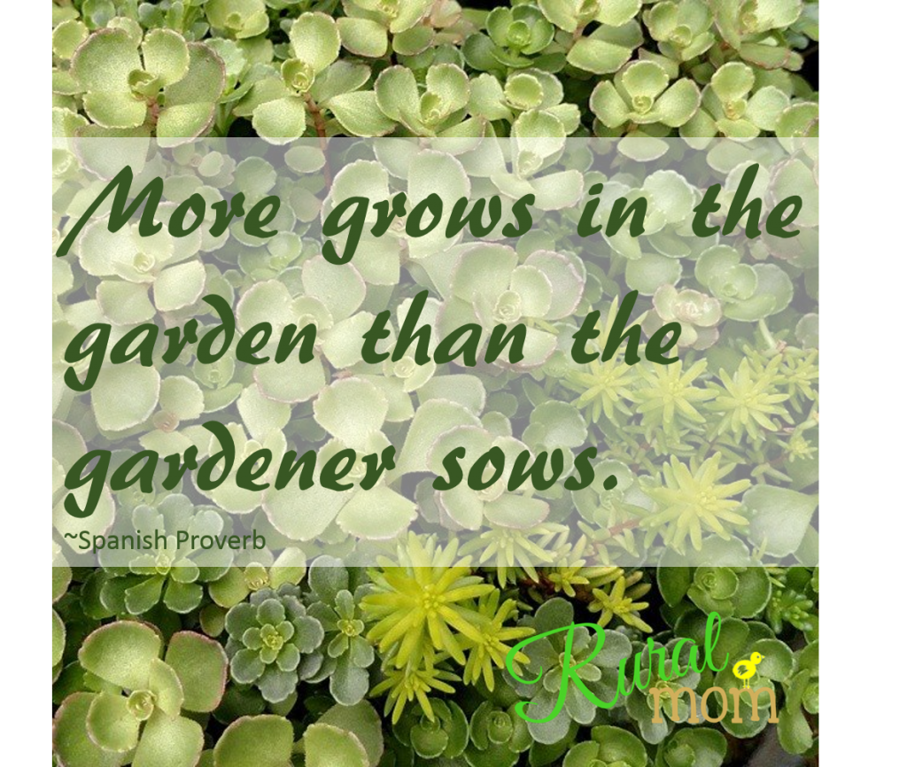 7 Gardening Quotes and Gorgeous Blooms to Inspire Your Spring Planting ...