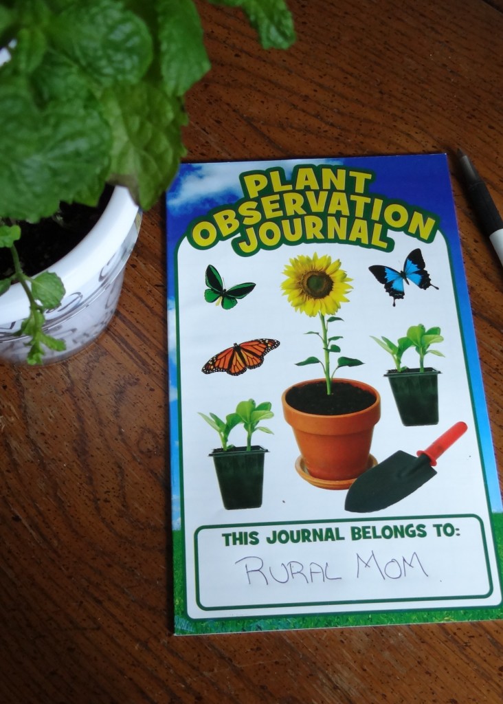 7 Smart Ways to Teach Your Kids about Earth Day 