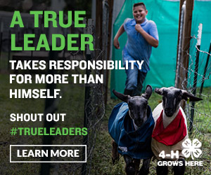 5 Effective Ways to Help Your Child Build Leadership Skills #TrueLeaders