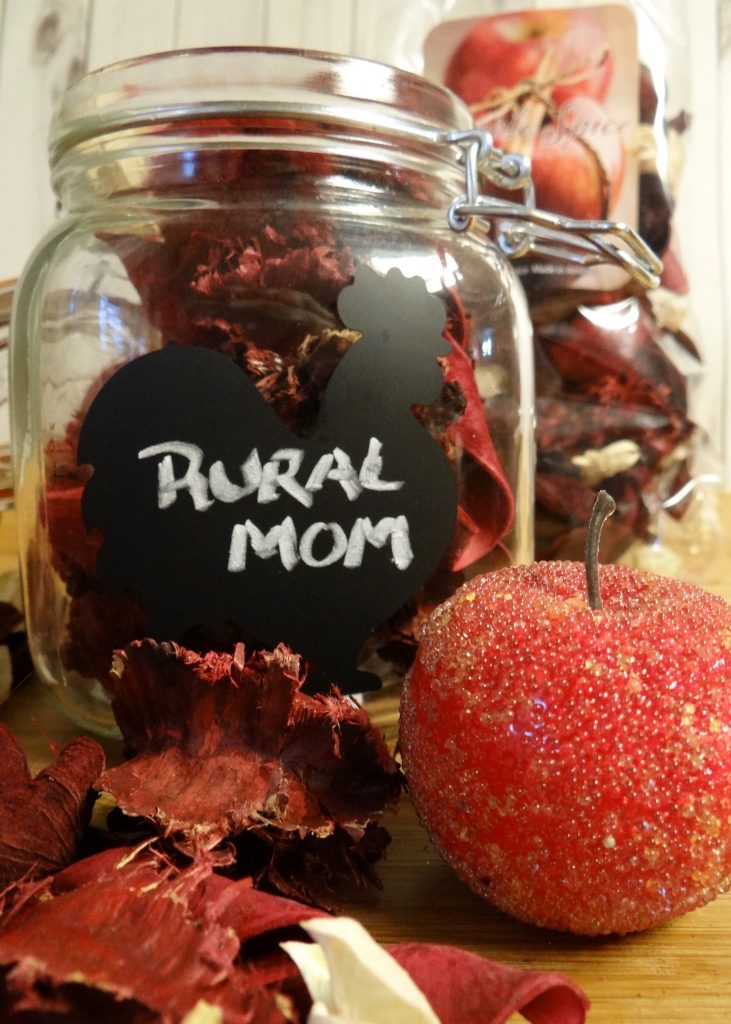 Clever Mason Jar Gift Ideas for Teachers #MyReason