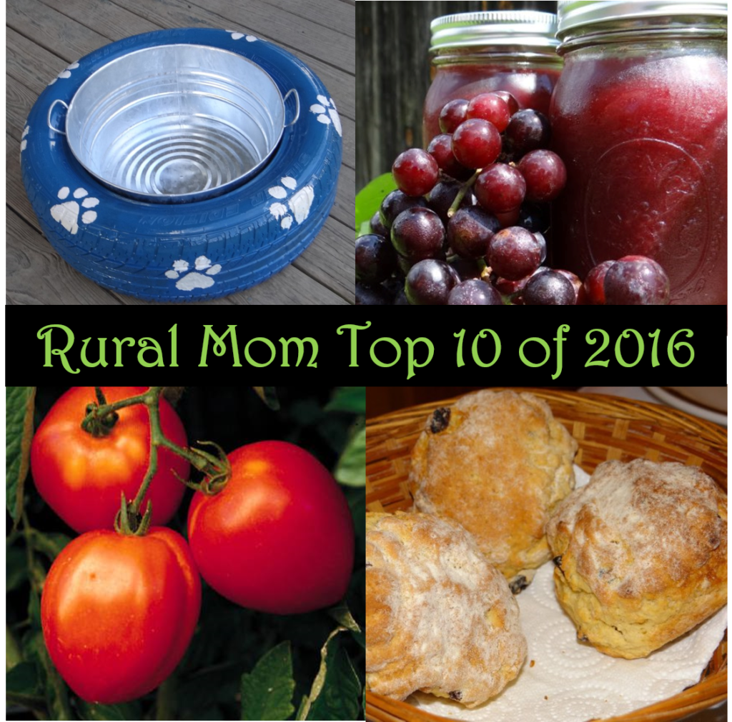 From Instant Pot Recipes to DIY Dog Bowls - Rural Mom Top 10 of 2016