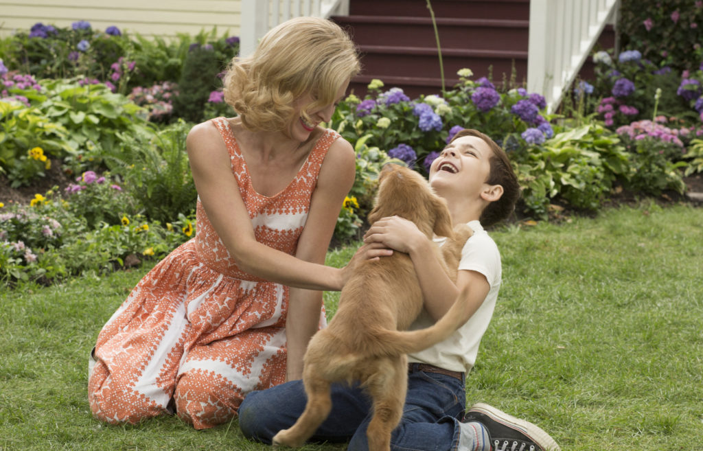 Lessons of A Dog’s Purpose