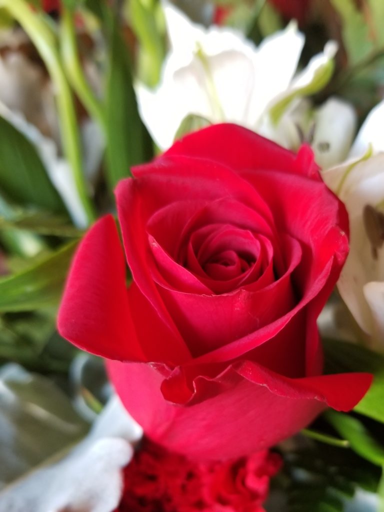 What are the best flowers to give on Valentine's Day?