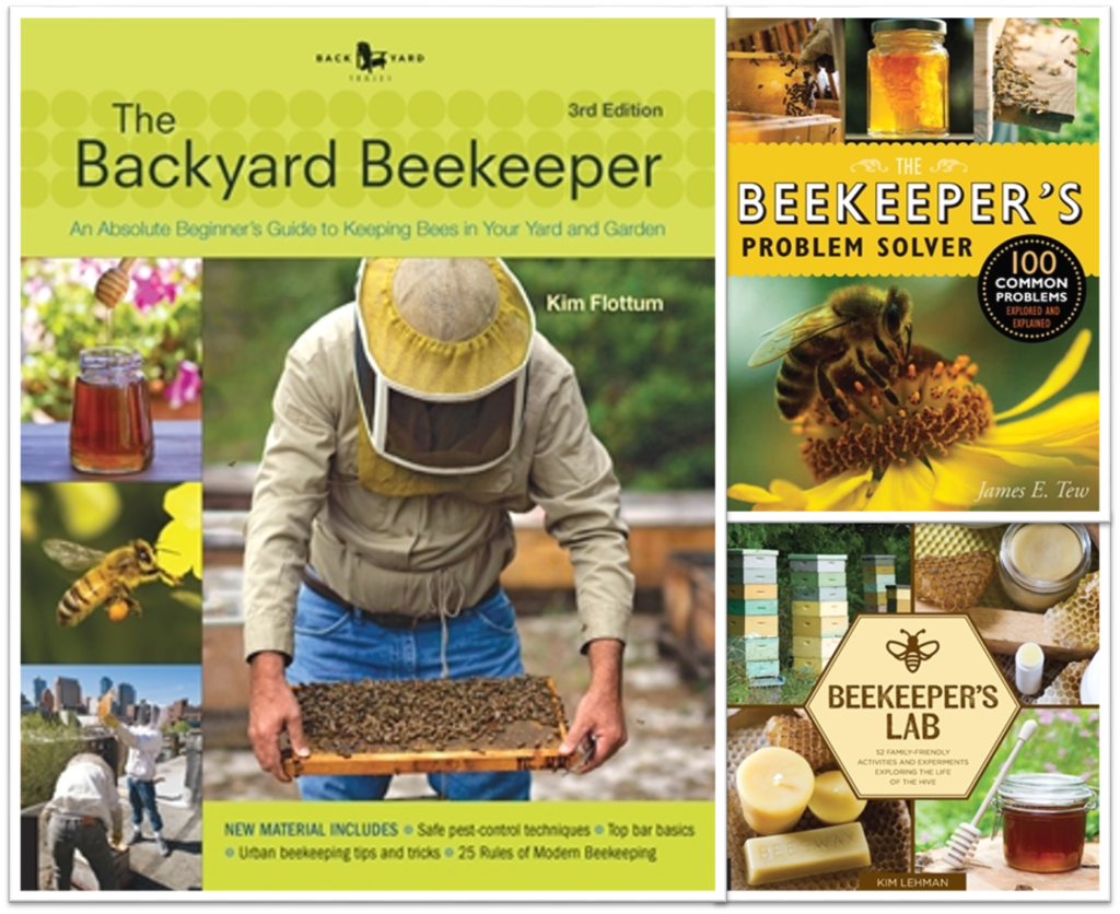 Beekeeping Advice for Beginners