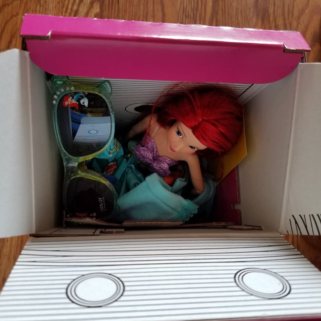 Dream Big Princess! Disney Princess Mystery Box Reveal! 