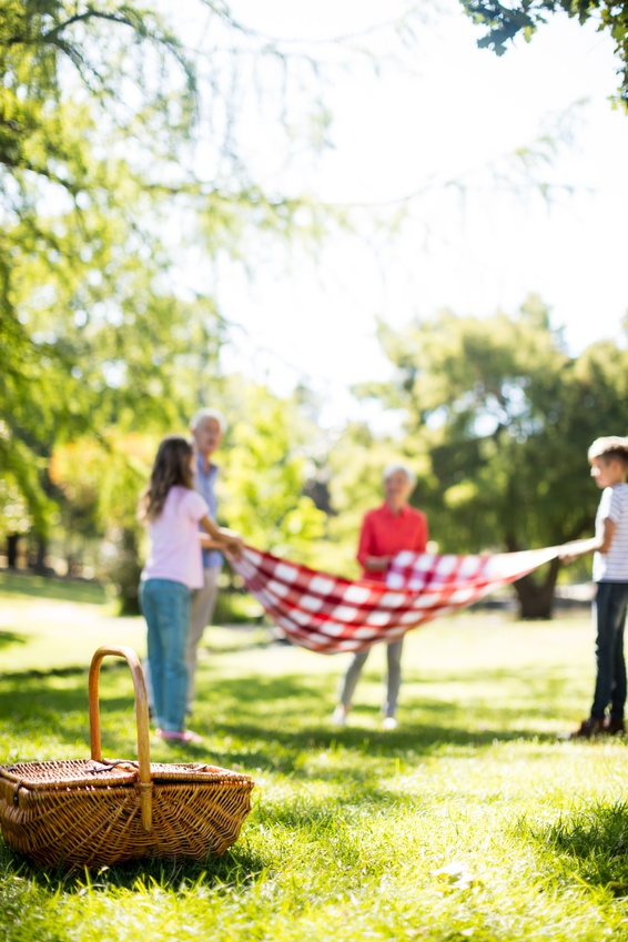 Recipe for a Perfect Picnic Rural Mom