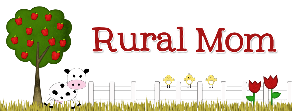 Hi and welcome! I'm Barb Webb, Owner and Editor of Rural Mom