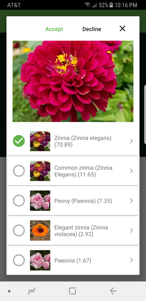 Instantly Identify any Plant or Tree with PlantSnap! #hunting4plants