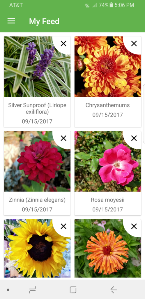 Instantly Identify any Plant or Tree with PlantSnap! #hunting4plants