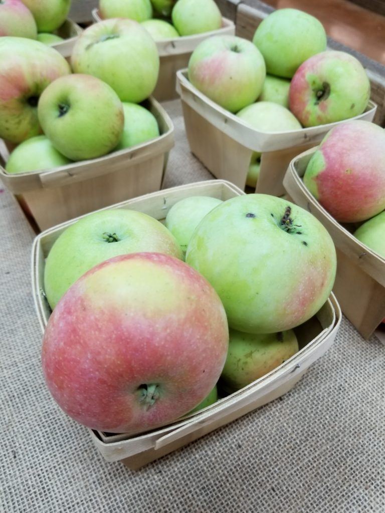 Snacks, Sips and Recipes for National Apple Month