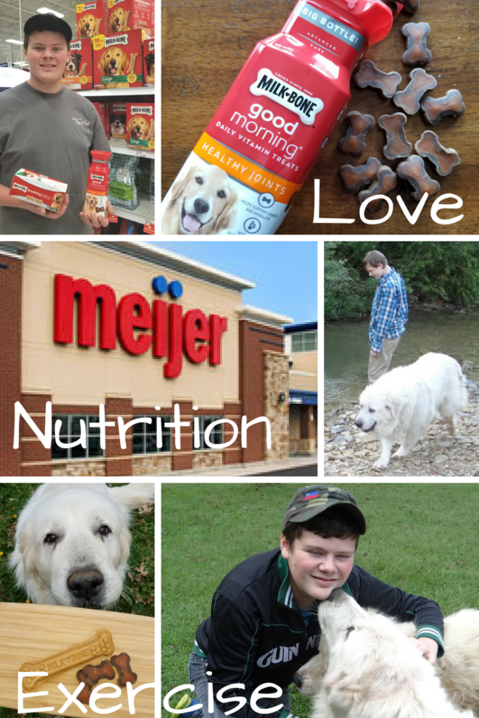 My Must Haves For a Happy, Healthy Large Breed Dog!