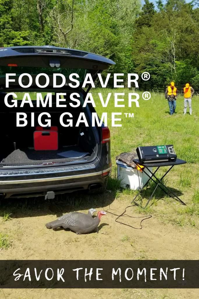 Preserve Each Moment with GameSaver