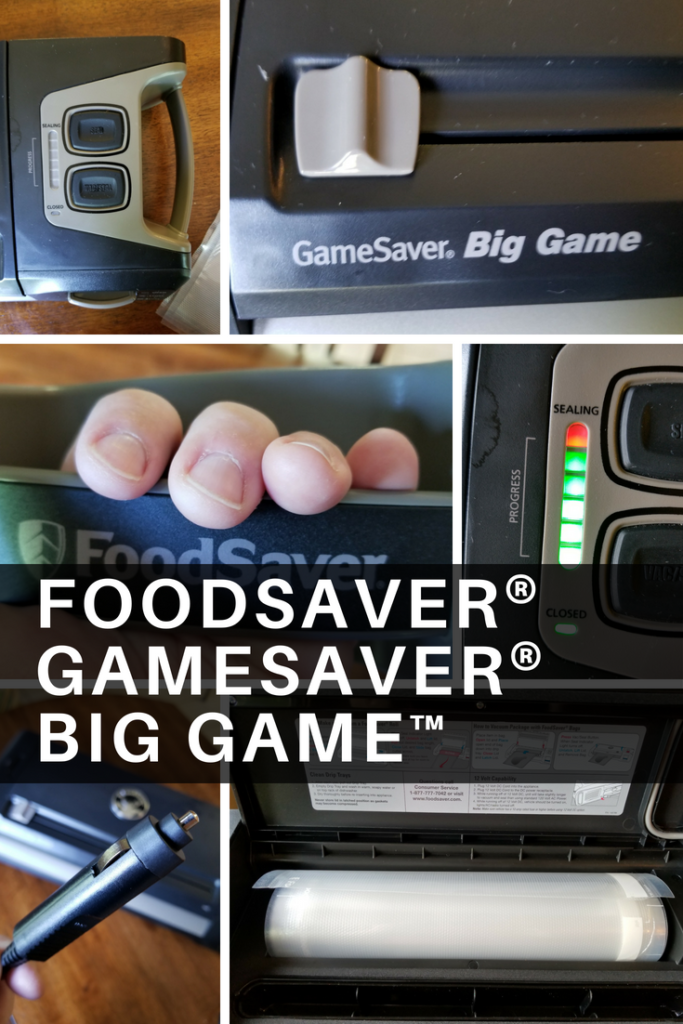 Preserve Each Moment with GameSaver