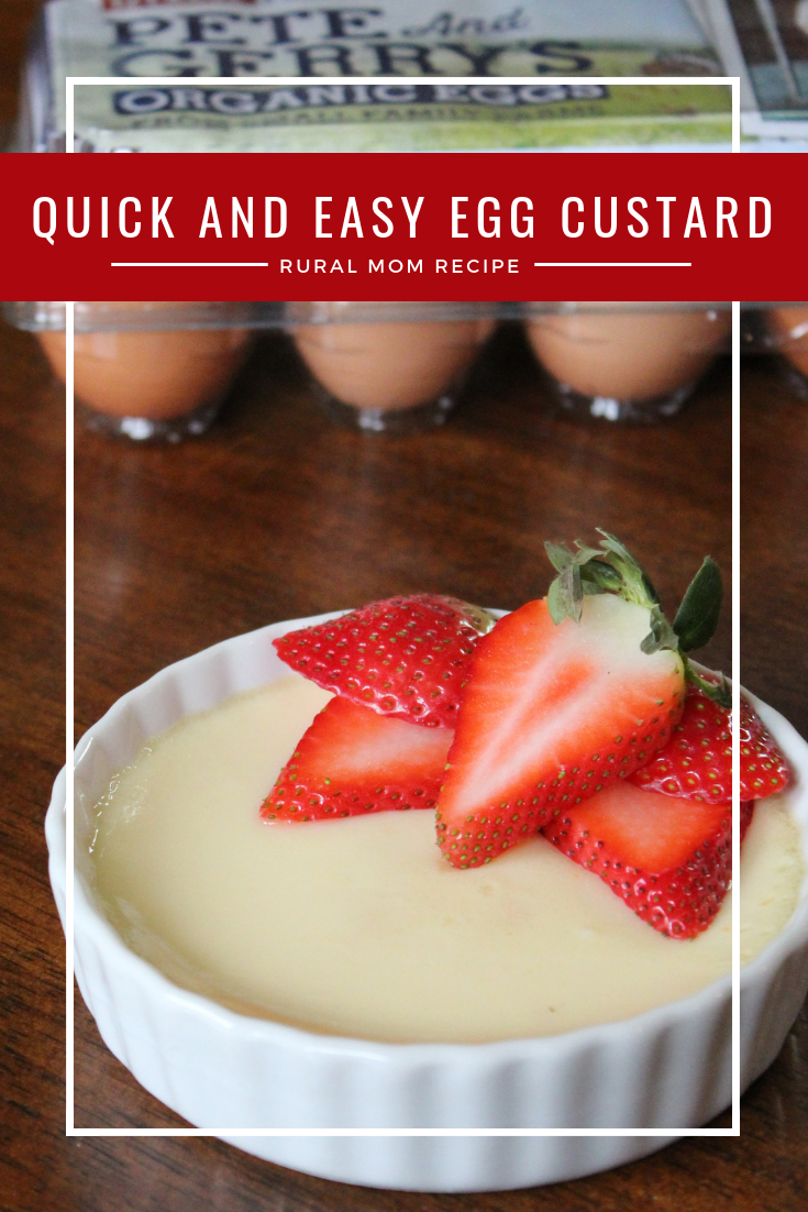 Quick and Easy Award-Worthy Egg Custard
