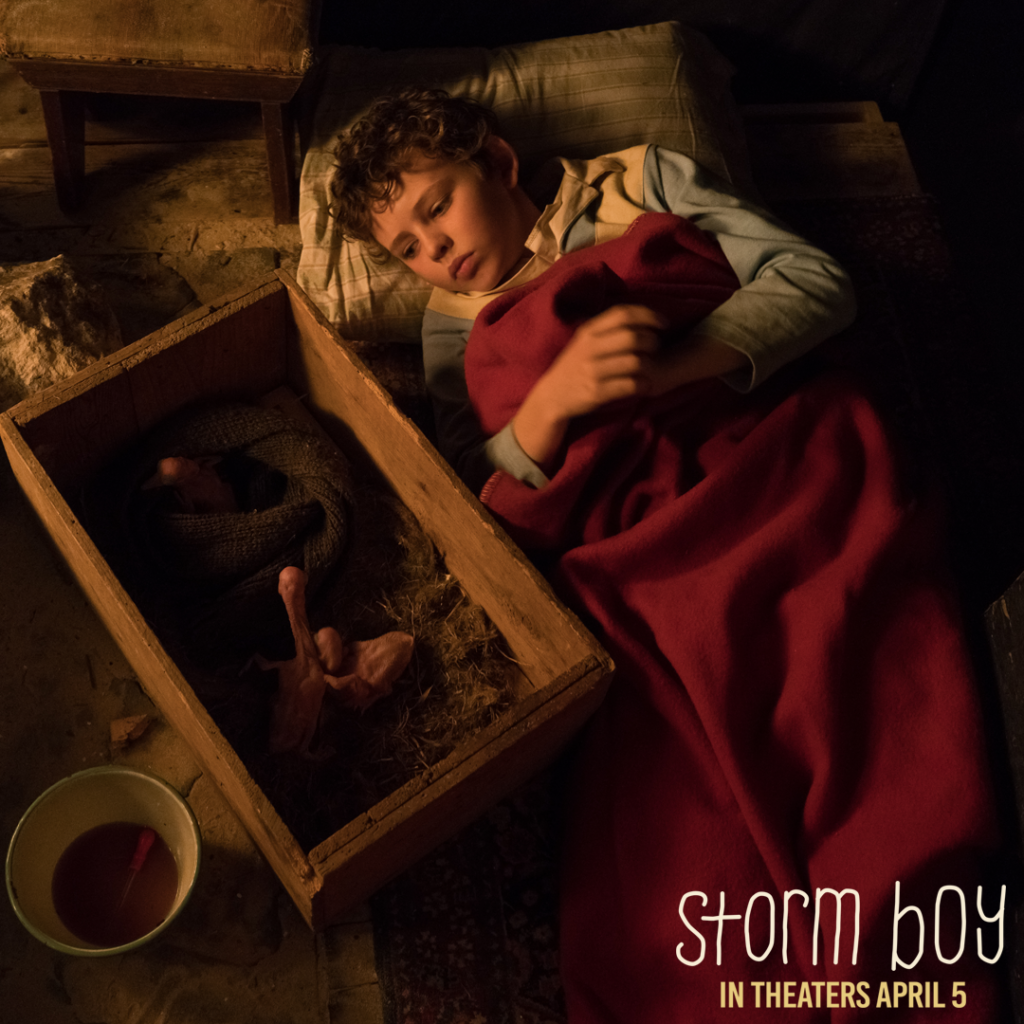 STORM BOY - An Unforgettable Film with an Ecological Heart