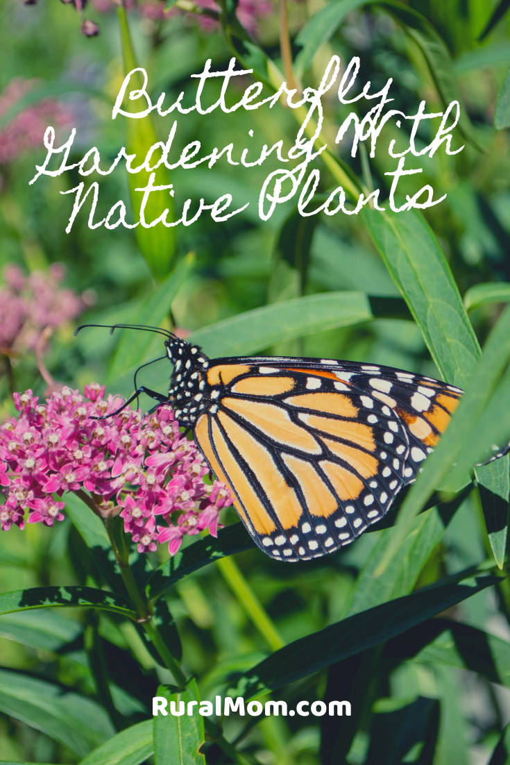 Butterfly Gardening With Native Plants