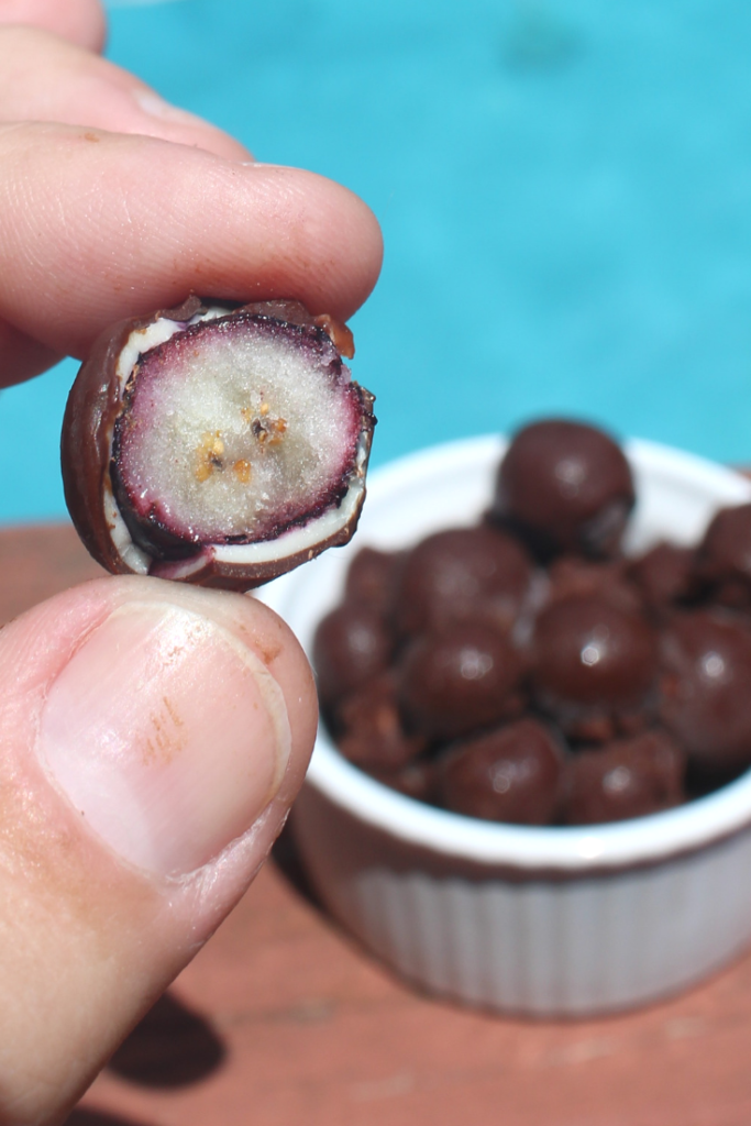 Summer is Sweeter with Tru Fru Frozen Fresh Blueberries Rural Mom