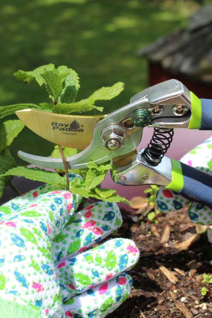 12 Essential Garden Tools Every Gardener Needs