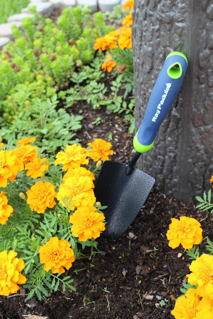 12 Essential Garden Tools Every Gardener Needs