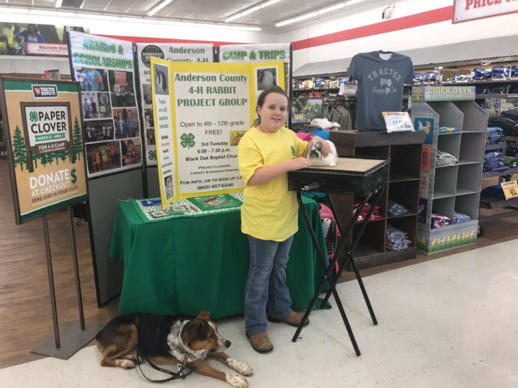 Tractor Supply is Fundraising for 4-H Clubs - Here's How You Can Help!