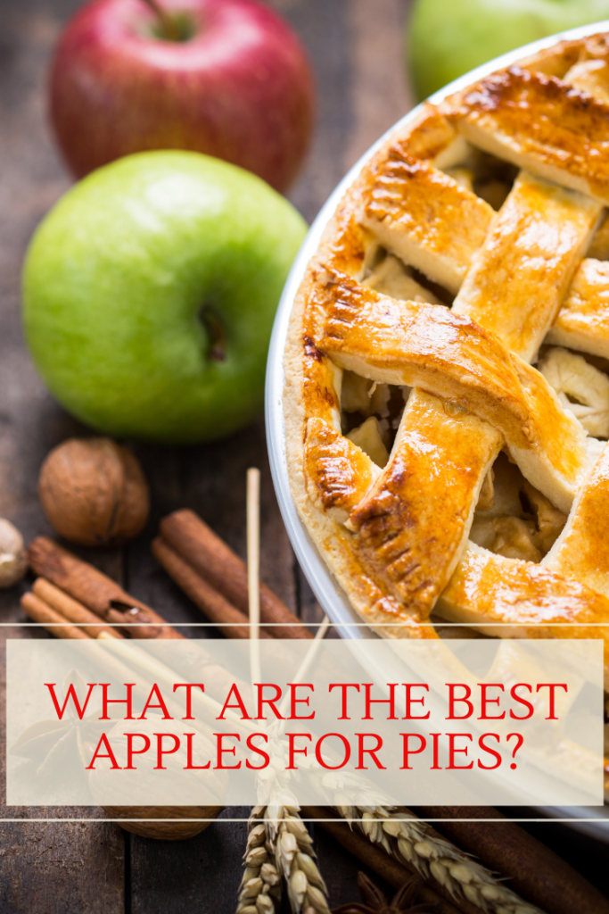 How To Choose The Best Apples for Your Pies Rural Mom