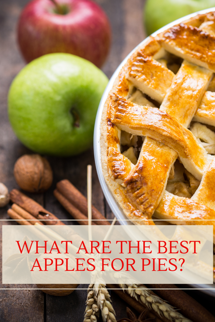 The Best Apples for Apple Pie