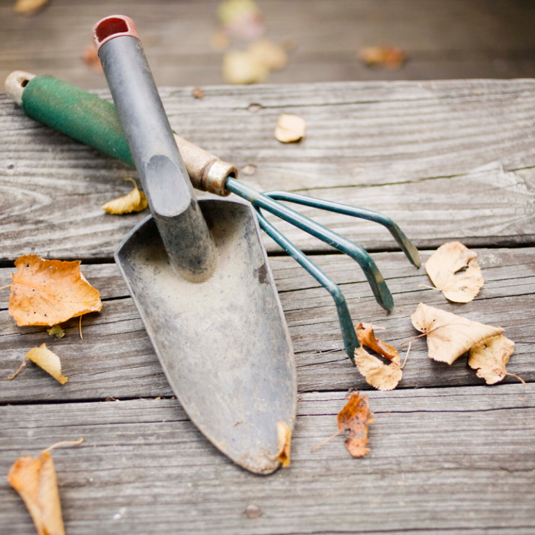 How To Care for Garden Tools in the Winter Rural Mom