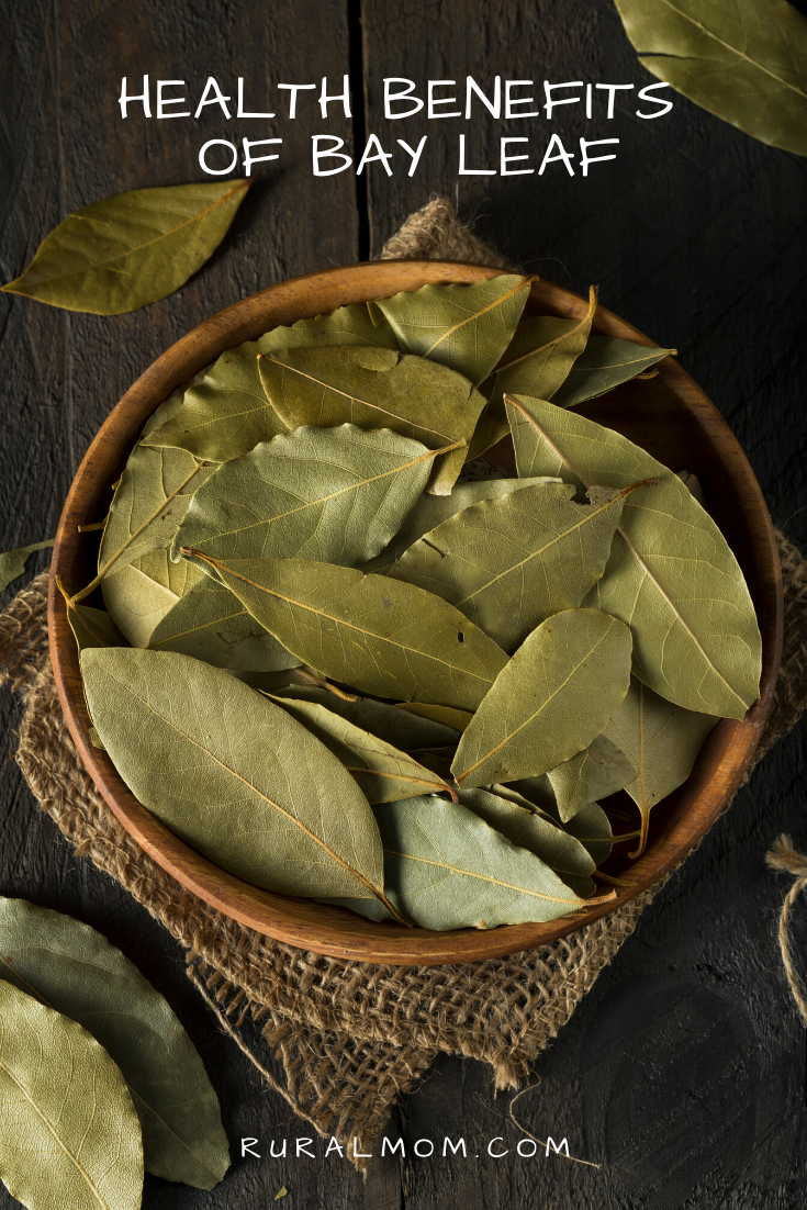 are bay leaves good for dogs