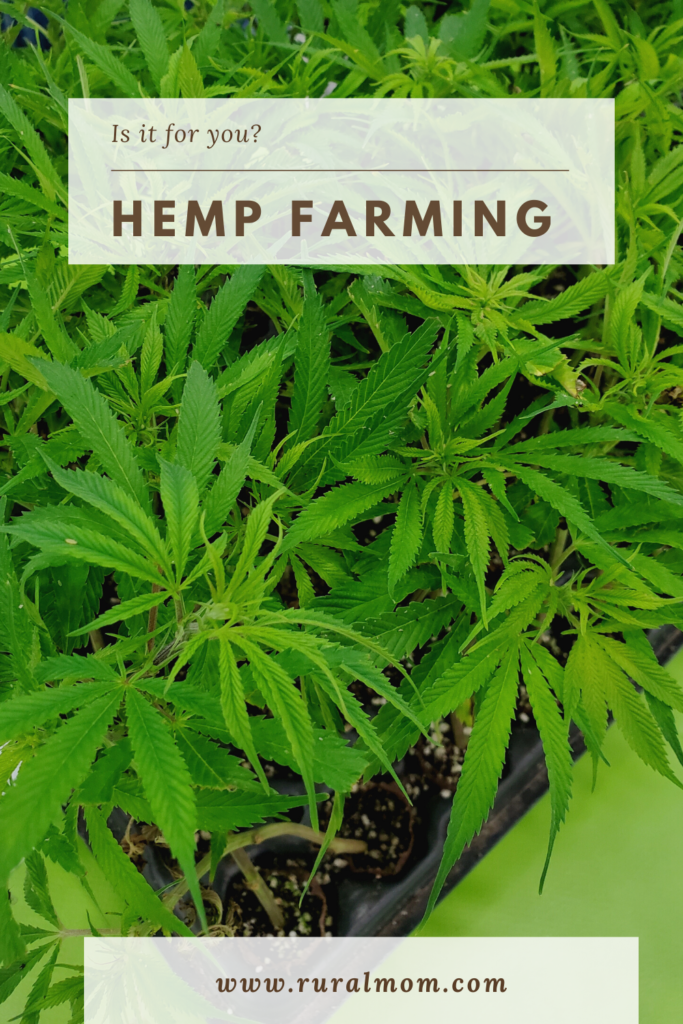 Is Hemp Farming For You? | National Hemp Expo 2020