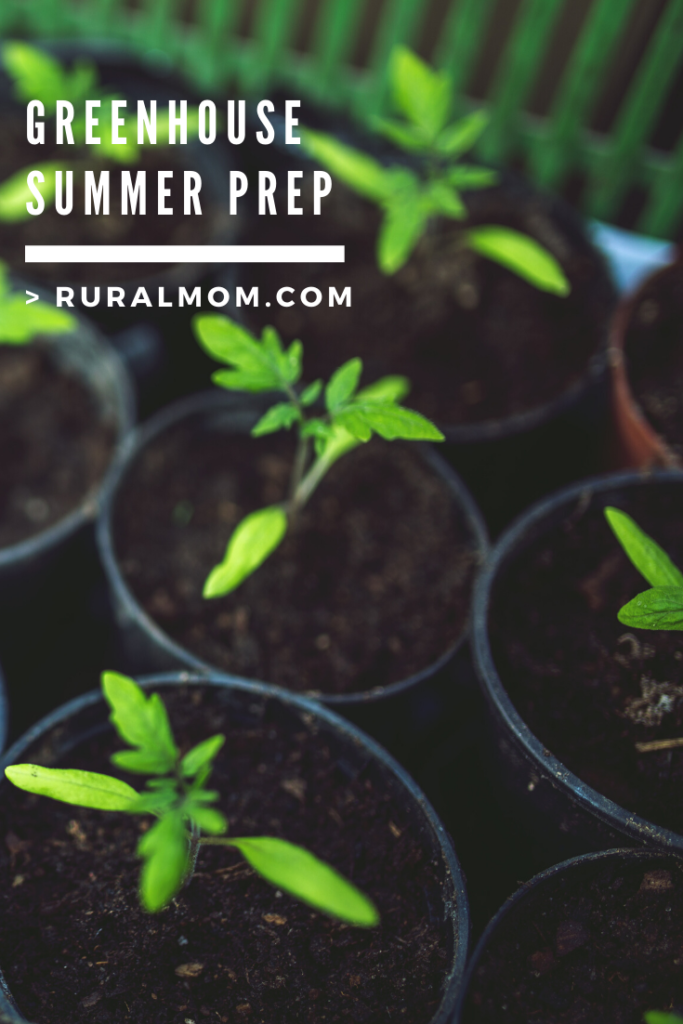 How To Prep Your Greenhouse for Summer